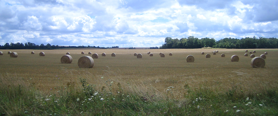 En Pays Châtillonnais